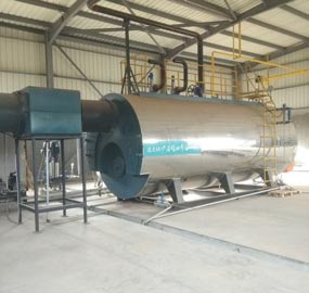 8 ton Natural Gas Fired Thermal Oil Boiler in Nepal