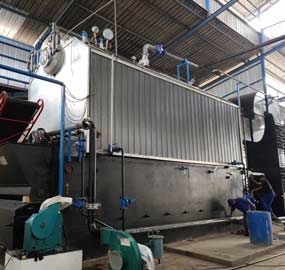 10 ton Coal Fired Boiler for Food Processing in Indonesia