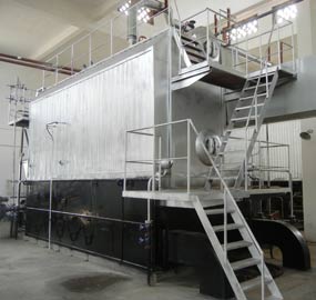 10 ton Coal Fired Hot Water Boiler for Central Heating in Mongolia