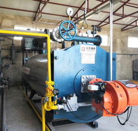 2 ton Thermal Oil Boiler for Textile Factory in Pakistan