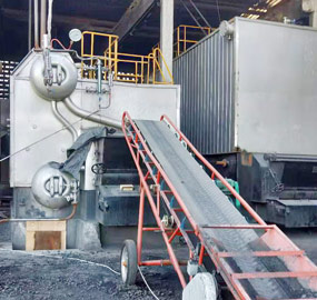 6 ton Coal Boiler & 4200kw Coal Thermal Oil Boiler for Refinery