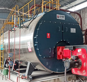 8 ton Oil Gas Fired Steam Boiler for Food Company