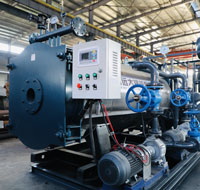 350kw skid-mounted thermal oil boiler for oilfield