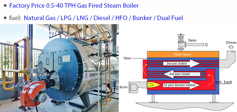 Steam Generators Oil | Steam Boilers India | Gas Fired 