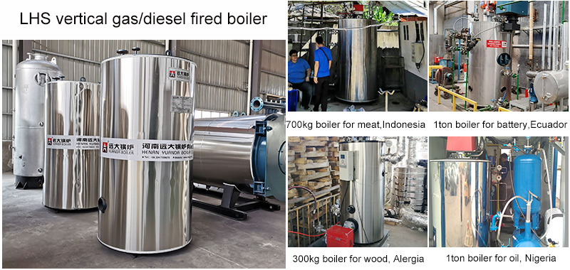 vertical steam boiler case, 500kg boiler, 1000kg boiler