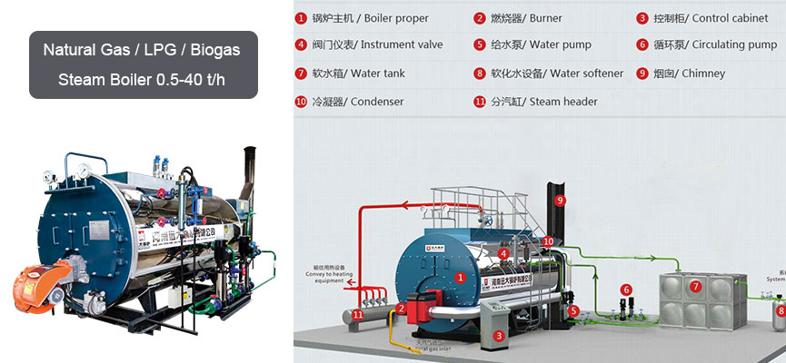 biogas lpg gas city gas steam boiler basic working system