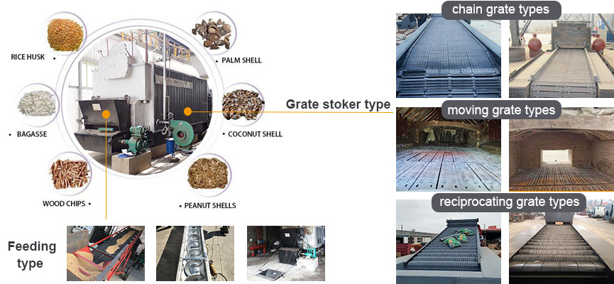 DZL biomass boiler with chain grate, reciprocating grate, fixed grate