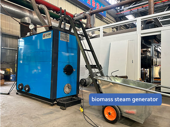 biomass steam generator