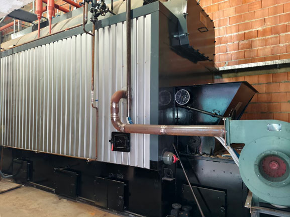 4-ton-DZL-reciprocating-steam-boiler-for-lumber-timber-plant