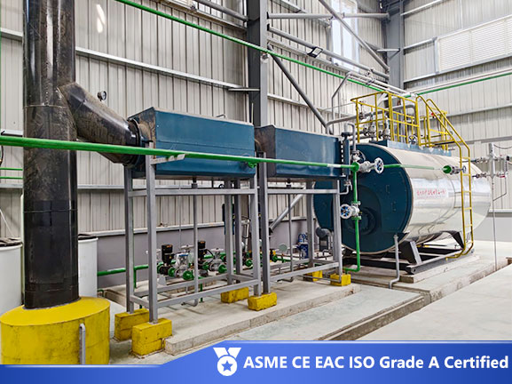 20ton gas steam boiler