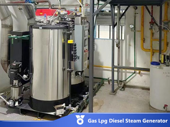 biomass wood steam generator