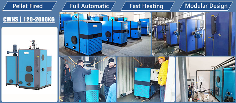 small biomass boiler, small wood pellet boiler, biomass pellet verical boiler, small steam boiler 4
