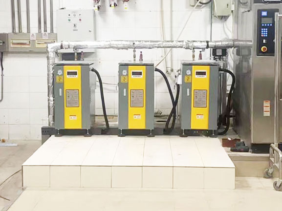 18kw 25kg steam generator