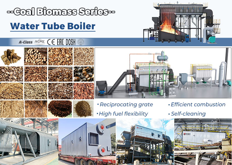 wood biomass steam boiler for egypt, water tube biomass boiler, biomass pellet steam boiler, wood fired steam boiler for egypt