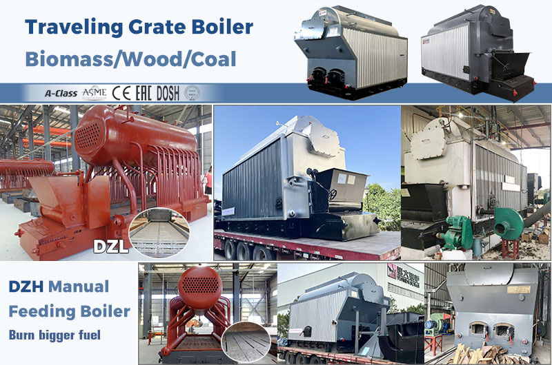 DZL-automatic-chain-grate-biomass-boiler-vs-dzh-manual-feeding-wood-boiler