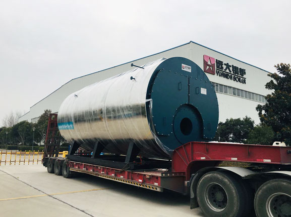 20ton gas steam boiler