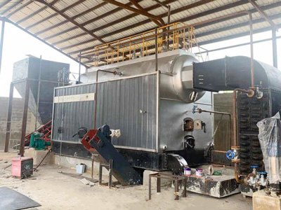 4-ton-boiler-burning-palm-kernel-shells-for-instant-noodel-processing.jpg