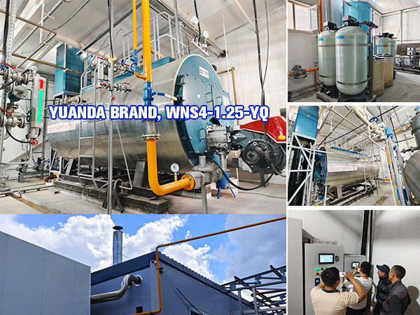 4000kg-Natural-Gas-Steam-Boiler-for-Dairy-Pasteurization,-WNS4.jpg
