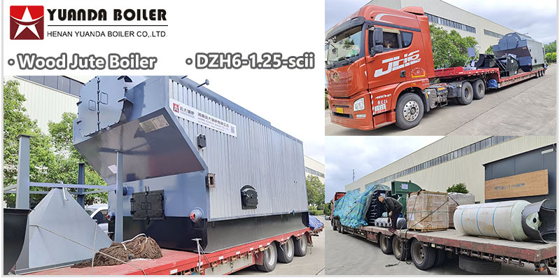 DZH 6 Ton Wood Jute Fired Steam Boiler for Dyeing Factory in Bangladesh