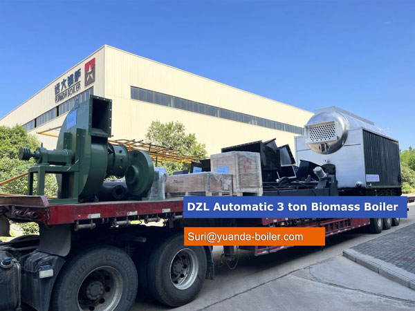 DZL-automatic-3-ton-biomass-boiler.jpg