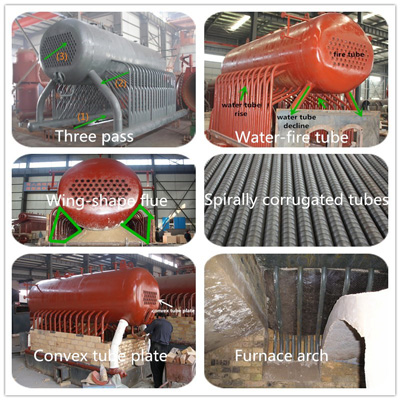 DZL6-1.25-T-biomass-6-ton-palm-kernel-shell-fired-boiler-advantages.jpg