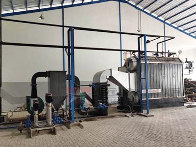 case-2-ton-biomass-fired-steam-boiler-for-rice-mill-in-Negeria1.jpg