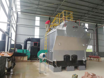 case-4-ton--wood-waste-fired-steam-boiler-for-paper-carton-processing-in-Ecuador-.jpg