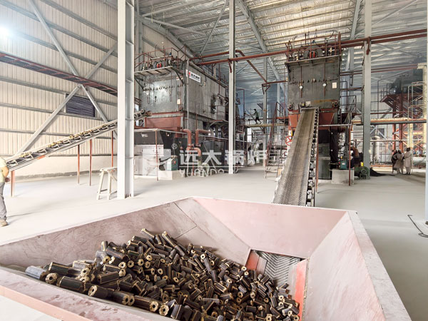 topn-biomass-boiler-in-china.jpg