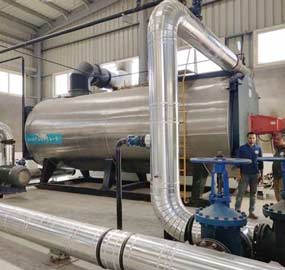 10 ton Gas Fired Garment Boiler in Eygpt