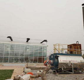 1 ton Oil Fired Hot Water Boiler for Greenhouse in Armenia