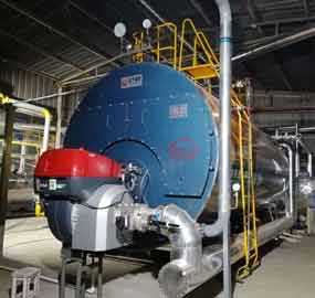 10 ton Paper Mill Gas Boiler in Egypt