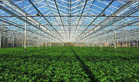 yuanda boiler for greenhouse