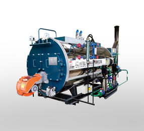 Natural gas or lpg fired boiler