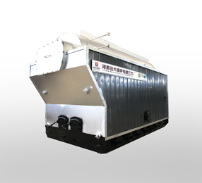 Coal or wood chip boiler