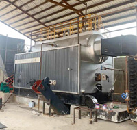 4 ton palm kernel shell biomass fired boiler for food factory