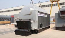 DZL Biomass Fired Boiler Running Video