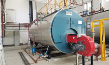 WNS Industrial Gas Oil Fired Boiler Video