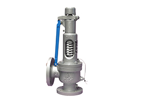 Safety valve