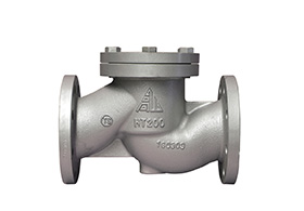 Check valve