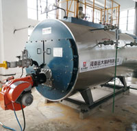 Capacity 2 Tons Fire Tube Gas Boiler for Five Star Hotel