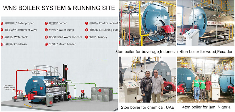wns diesel oil fired boiler