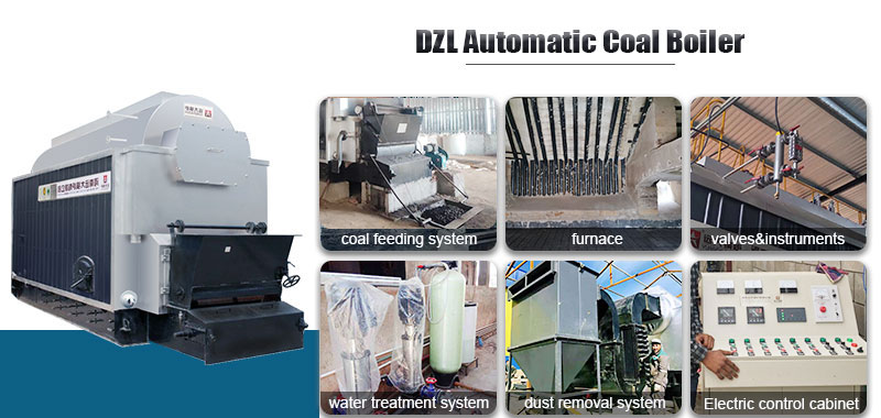 DZL coal fuel boiler, steam boiler, coal hot water boiler