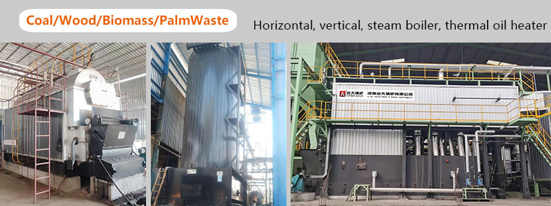 solid fuel coal biomass fired steam boiler and thermal oil boiler in Indonesia