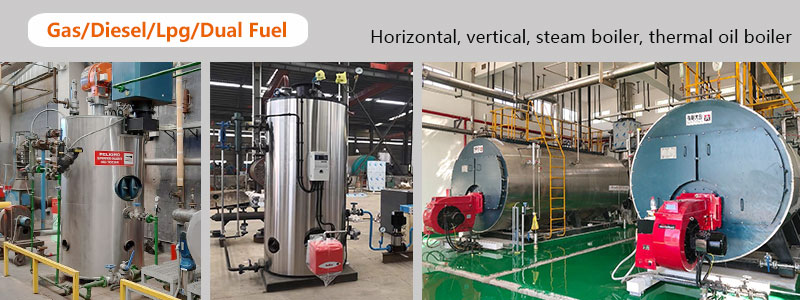gas diesel fired steam boiler and thermal oil heater