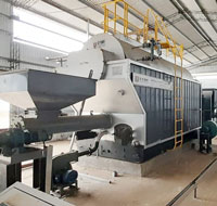 DZH 4000 kg Sunflower Husk and Wood Fuel Steam Boiler