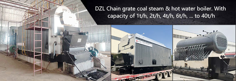 DZL coal fired chain grate boiler