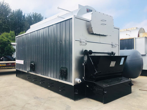 DZL biomass fired boiler(2)