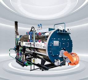 Natural gas or lpg fired boiler