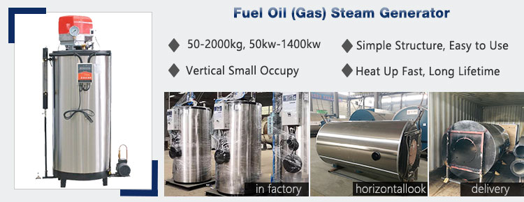 fuel oil steam generator, gas steam generator
