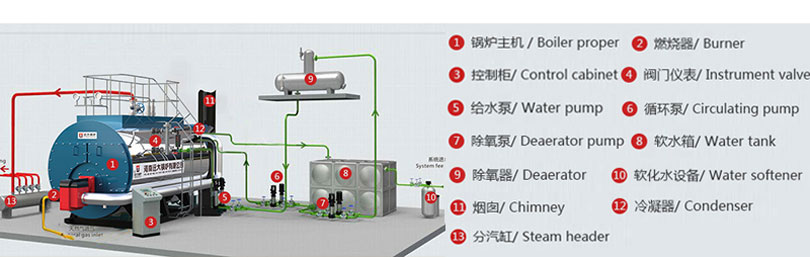 wns gas oil fired boiler system